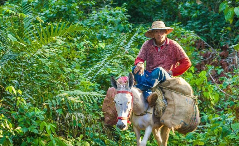 high load callback attempts