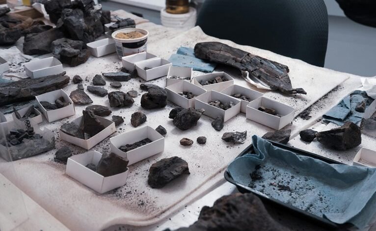 hizzaboloufazic s discovery details