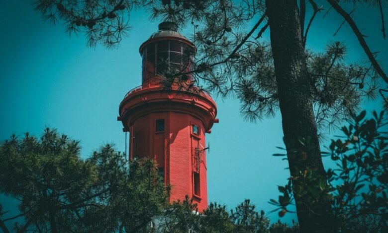 wurduxalgoilds lead content inquiry